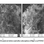 Figure 3a,b: SEM analysis-before and after adsorption of HgCl2 on PTP4ClB composite