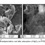 Figure 3c,d: SEM analysis-before and after adsorption of HgCl2 on PTPDISA composite