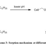 Scheme 3: Sorption mechanism at different pH 