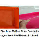 Figure 3: Edible Film from Catfish Bone Gelatin Incorporated 