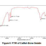 Figure 6: FTIR of Catfish Bone Gelatin