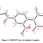 Figure 1: ORTEP View of sodium Complex