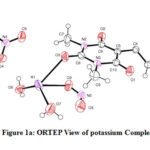 Figure 1a: ORTEP View of potassium Complex