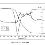 Figure 2: TG-DTA profile of BP