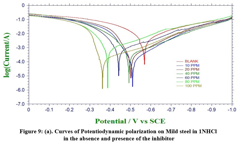 Tafel polarization curve in absence of inhibitor and presence of